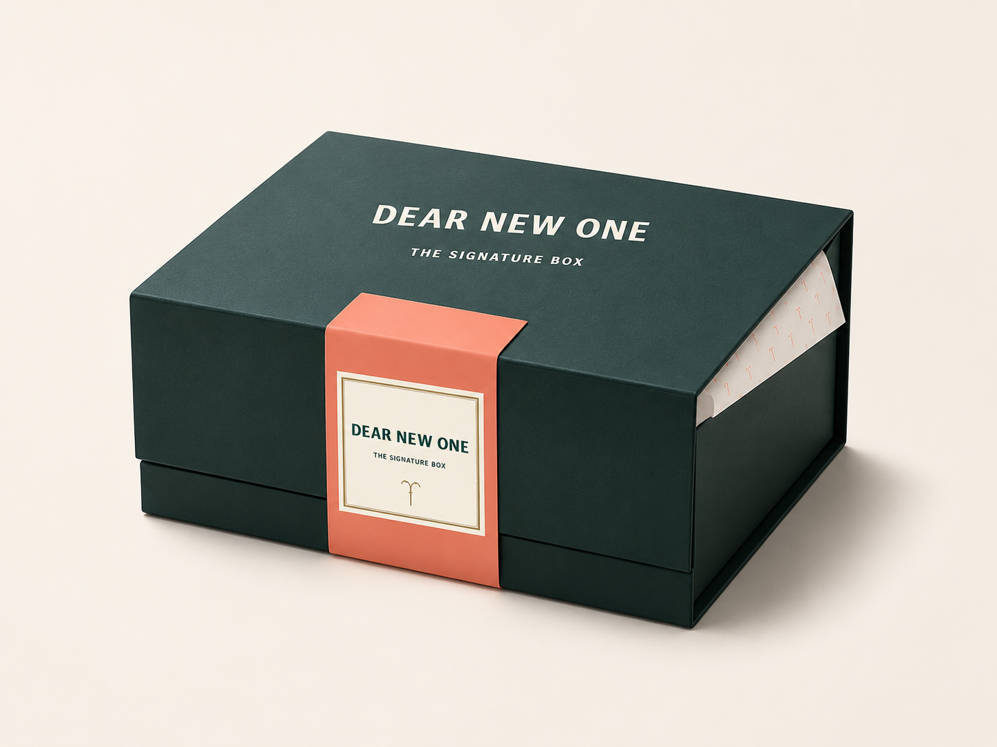 Dear New One — The Signature Box in premium studiosetting