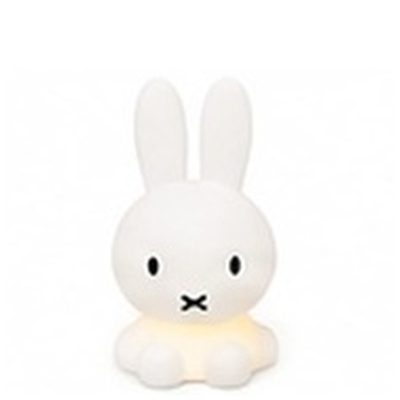 Nijntje Bundle of Light