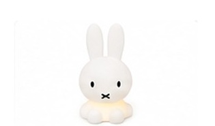 Nijntje Bundle of Light