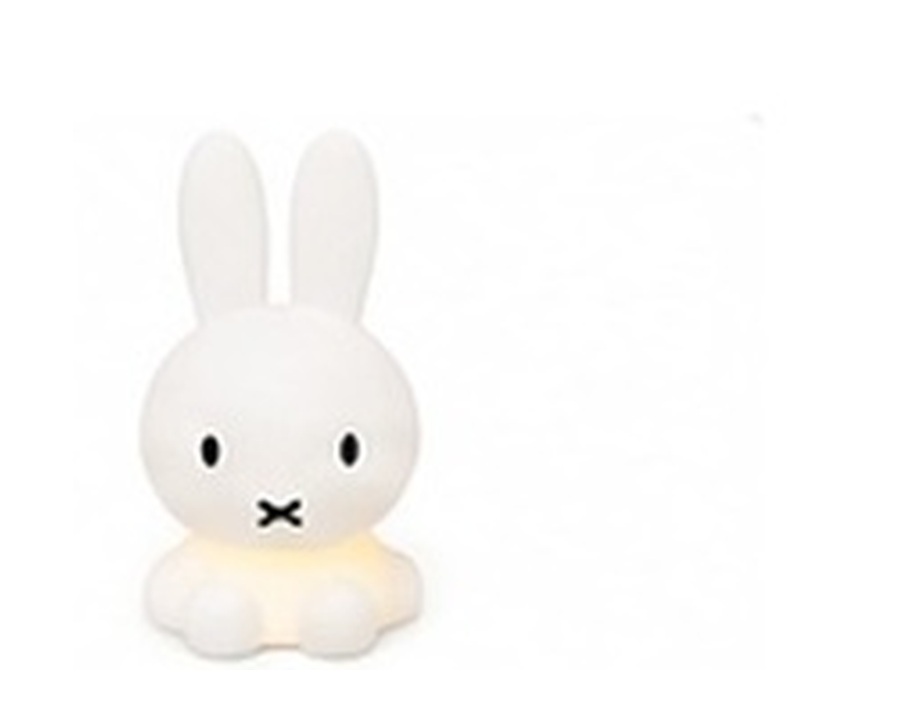 Nijntje Bundle of Light